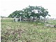 Alton Downs QLD 4702