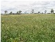Alton Downs QLD 4702