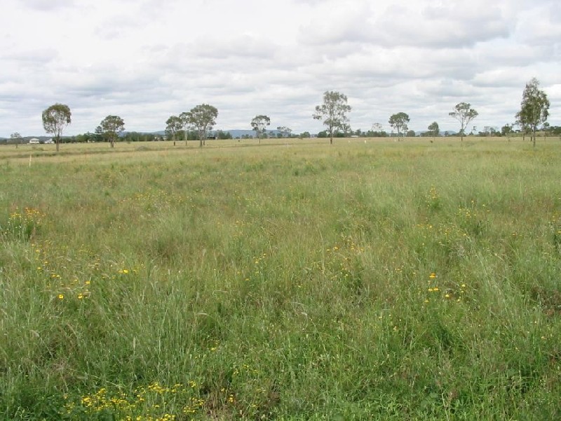 Alton Downs QLD 4702