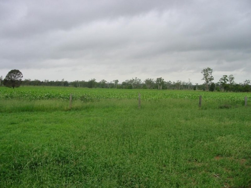 Westwood QLD 4702