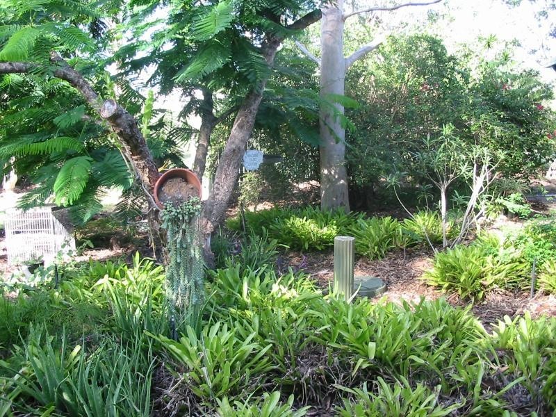 Glendale QLD 4711