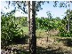 Glendale QLD 4711