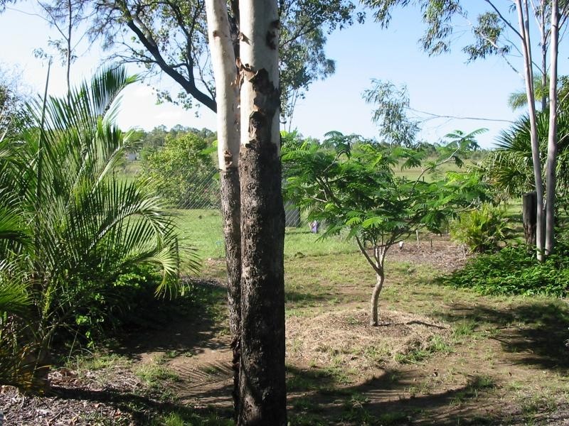 Glendale QLD 4711