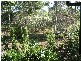 Glendale QLD 4711