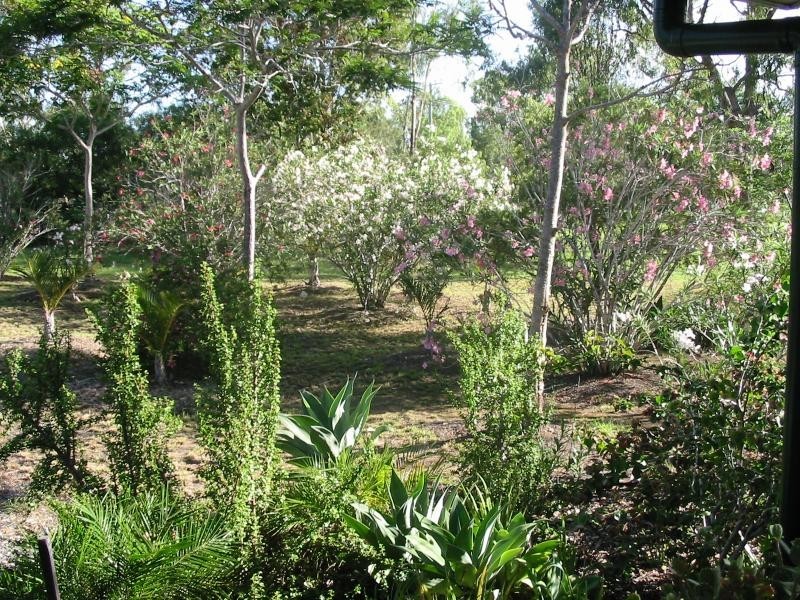 Glendale QLD 4711