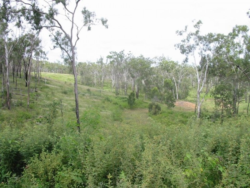 Limestone Creek QLD 4701