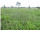 Gracemere QLD 4702