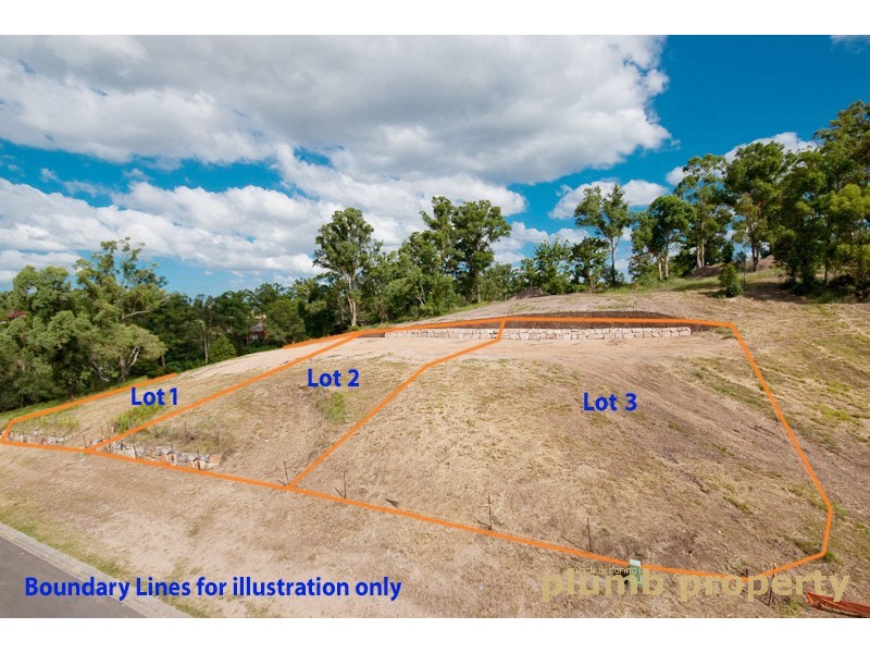 31 Leatherwood Drive, Arana Hills QLD 4054