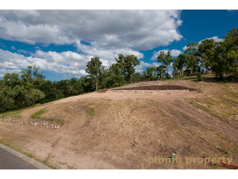 31 Leatherwood Drive, Arana Hills QLD 4054