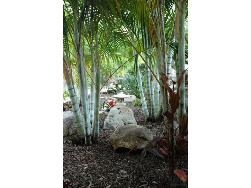 Albany Creek QLD 4035