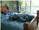 9 Fig Court, Buderim QLD 4556