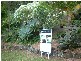 9 Fig Court, Buderim QLD 4556