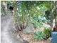 9 Fig Court, Buderim QLD 4556