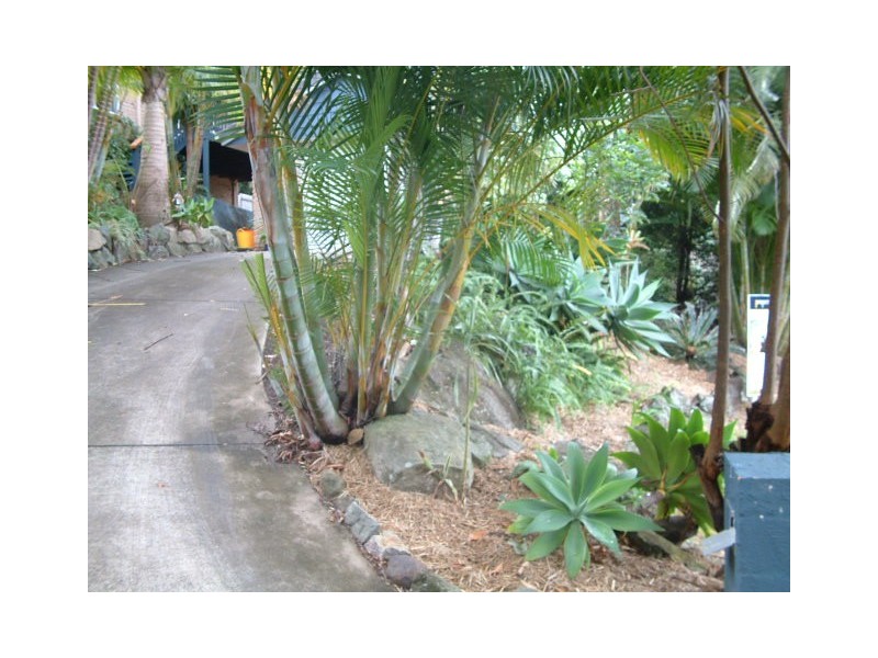 9 Fig Court, Buderim QLD 4556