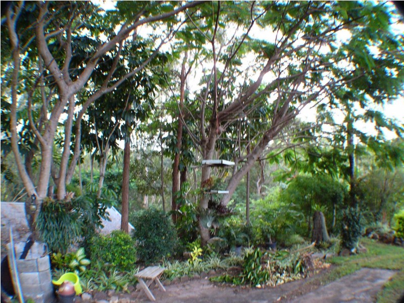 Eudlo QLD 4554