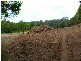 Kiels Mountain QLD 4559
