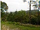 Kiels Mountain QLD 4559