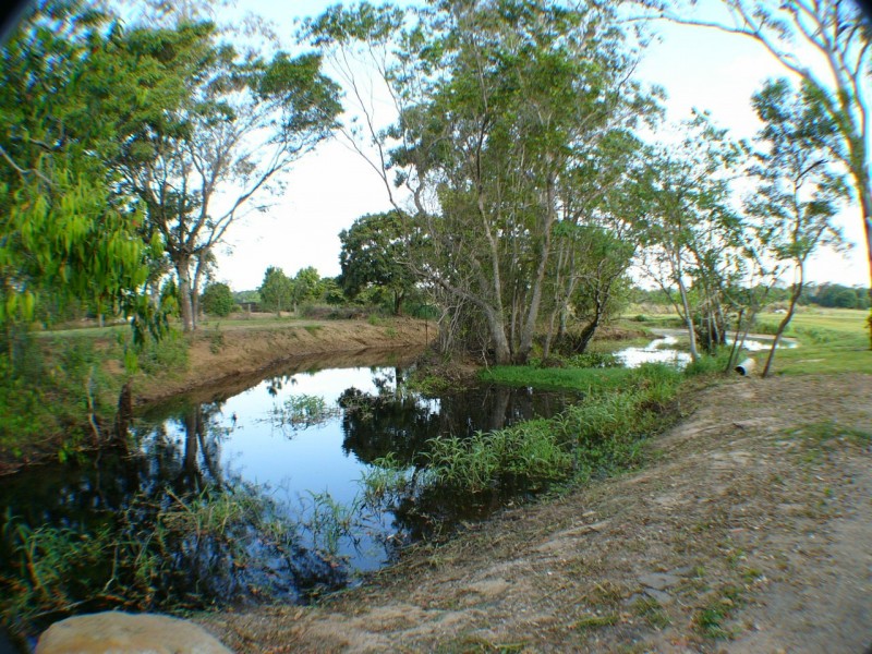 Palmview QLD 4553