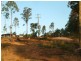 Lot 331 Arbornine Road, Glenwood QLD 4570