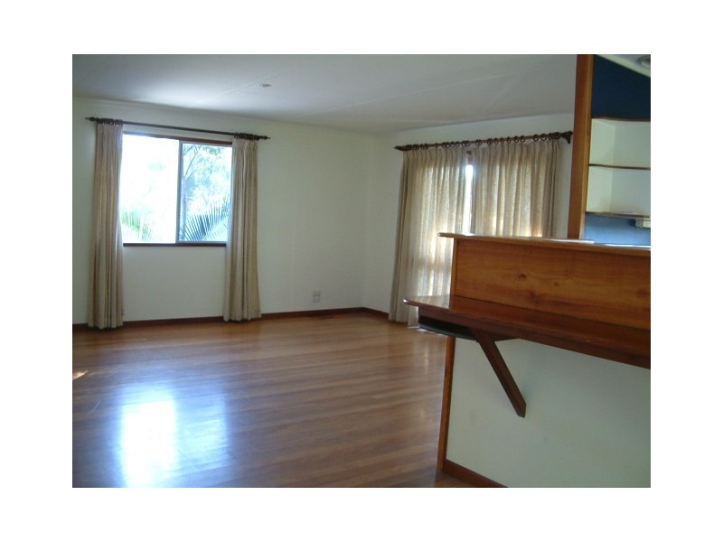 Shelly Beach QLD 4551