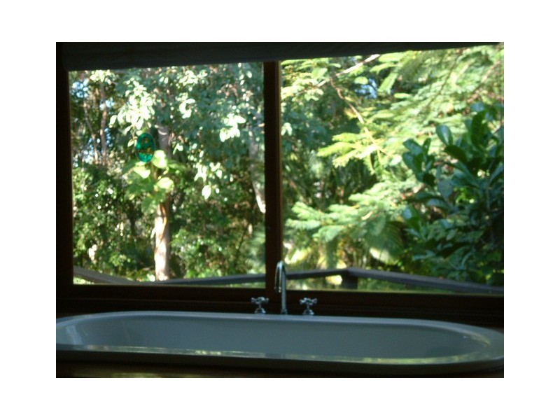 Shelly Beach QLD 4551