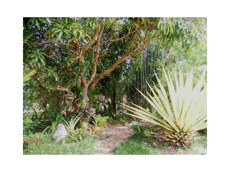 Glass House Mountains QLD 4518