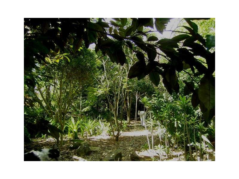 Glass House Mountains QLD 4518