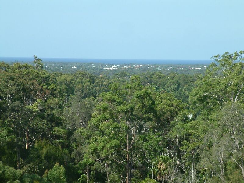 Little Mountain QLD 4551