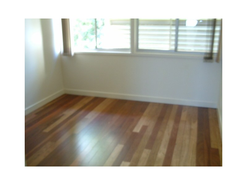 Shelly Beach QLD 4551