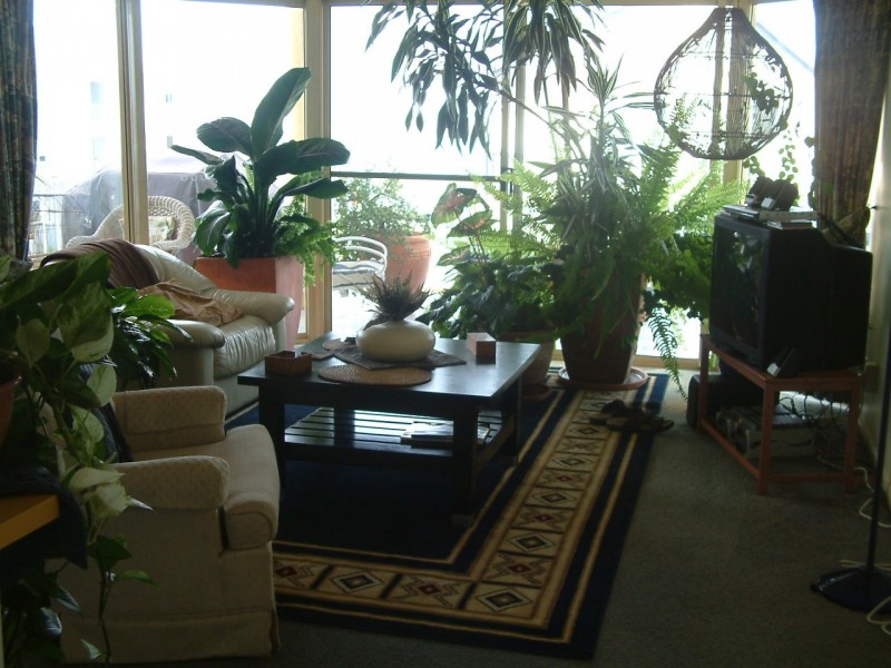 Golden Beach QLD 4551