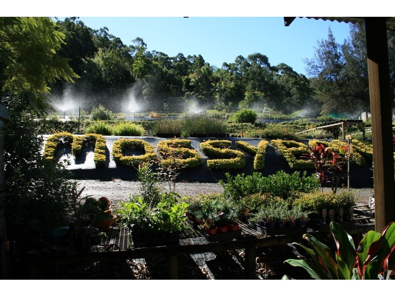 Palmwoods QLD 4555