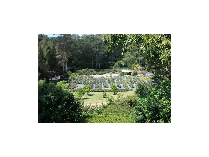 Palmwoods QLD 4555