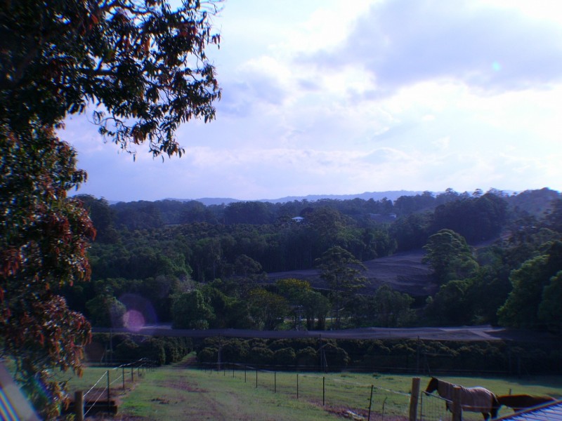 Woombye QLD 4559