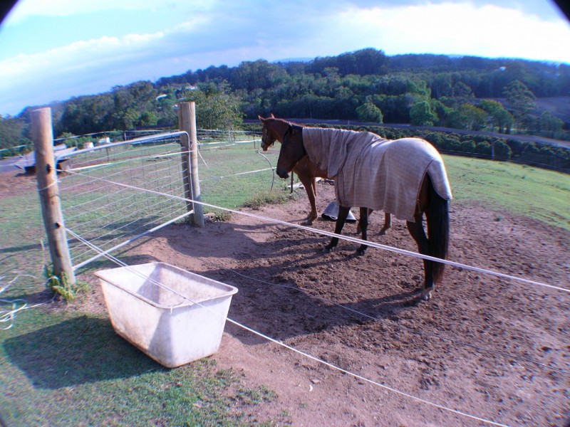 Woombye QLD 4559