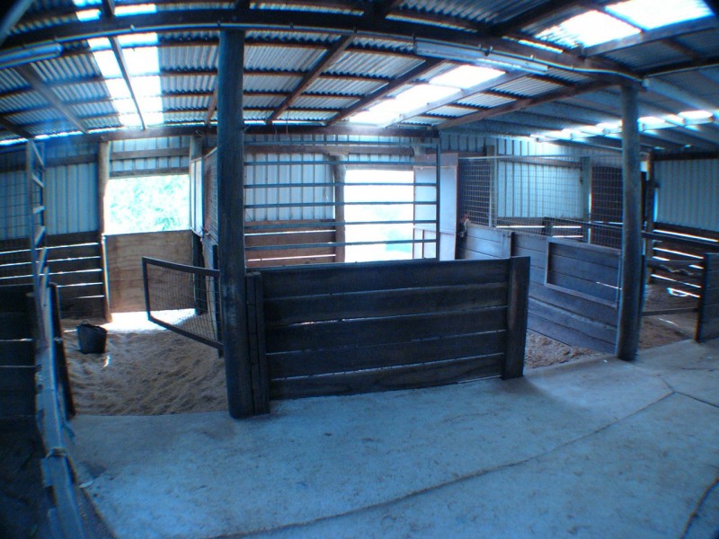Woombye QLD 4559