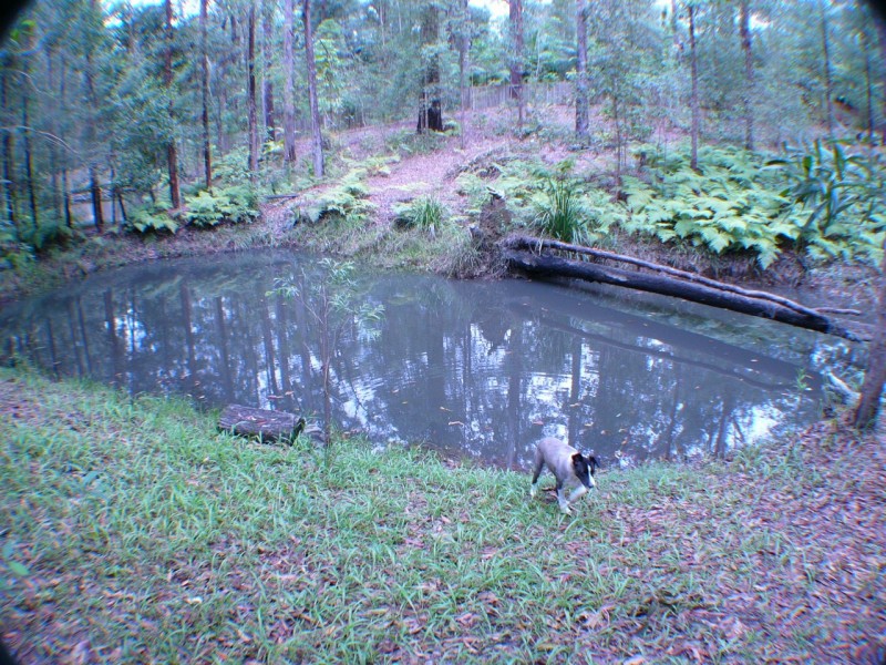 Beerwah QLD 4519