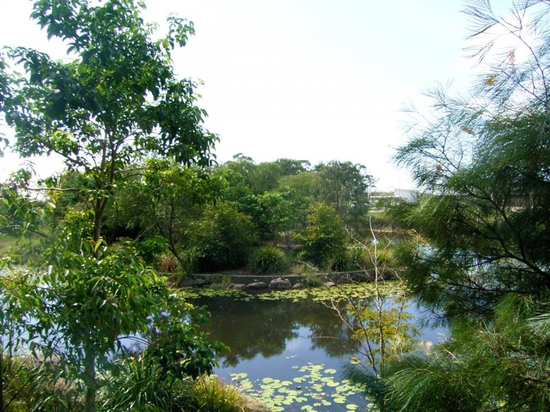 17 Tall Trees Way, Caloundra QLD 4551