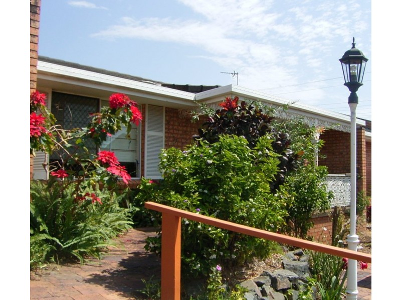 Dicky Beach QLD 4551