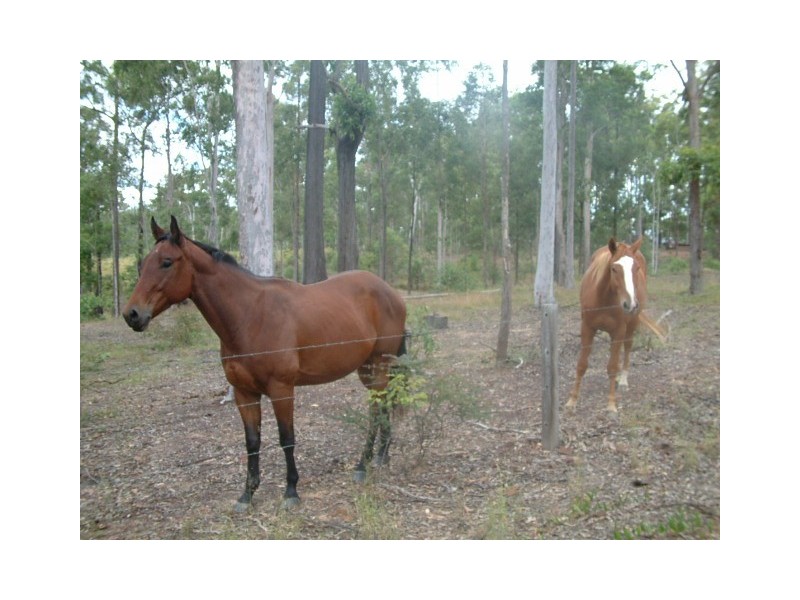 Anderleigh QLD 4570