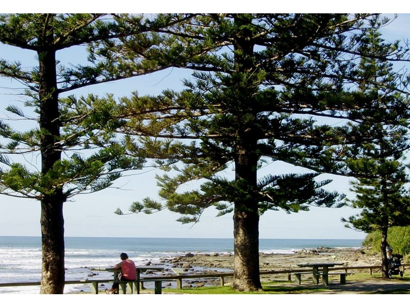 23 Edmund St, Shelly Beach QLD 4551