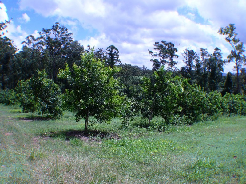 Peachester QLD 4519