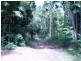 Peachester QLD 4519