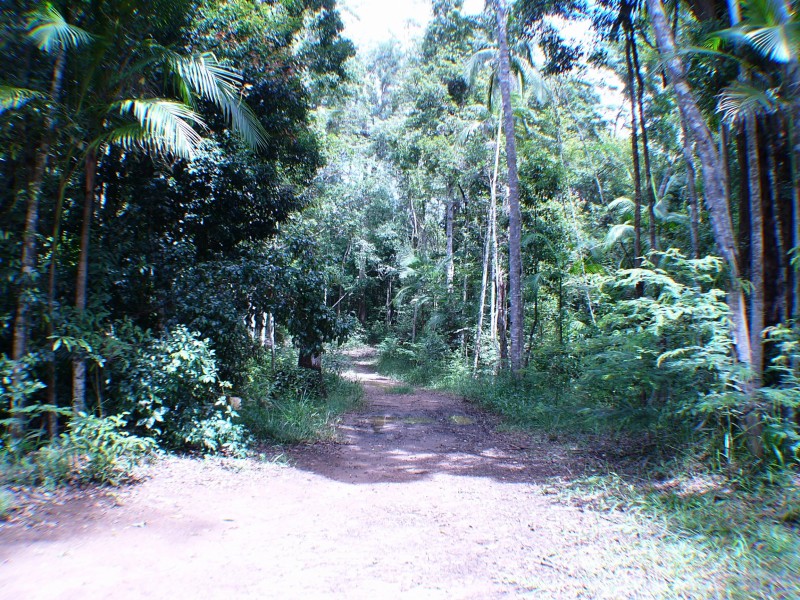 Peachester QLD 4519