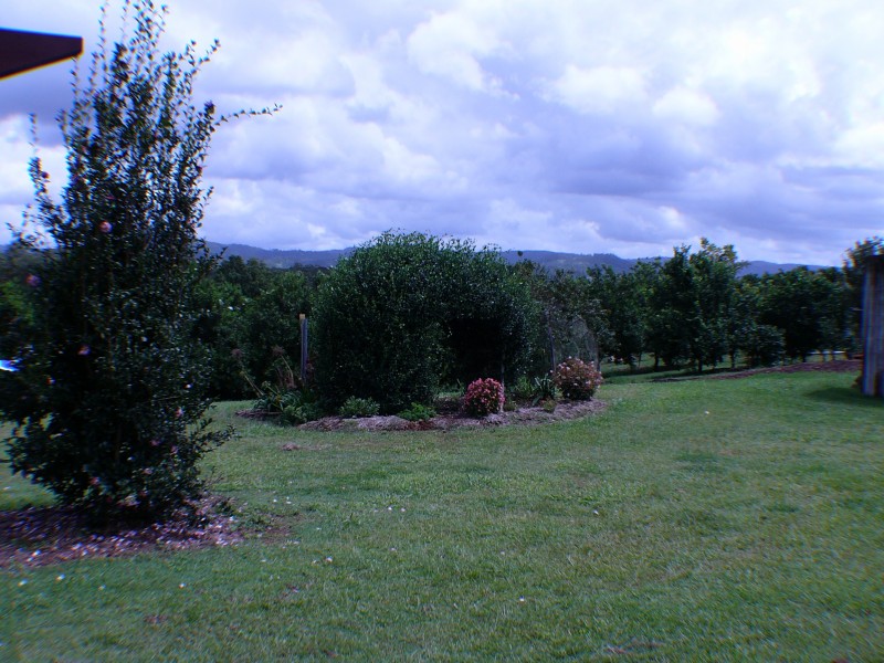 Peachester QLD 4519