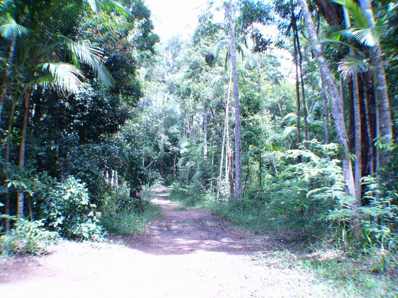 Peachester QLD 4519