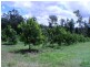 Peachester QLD 4519