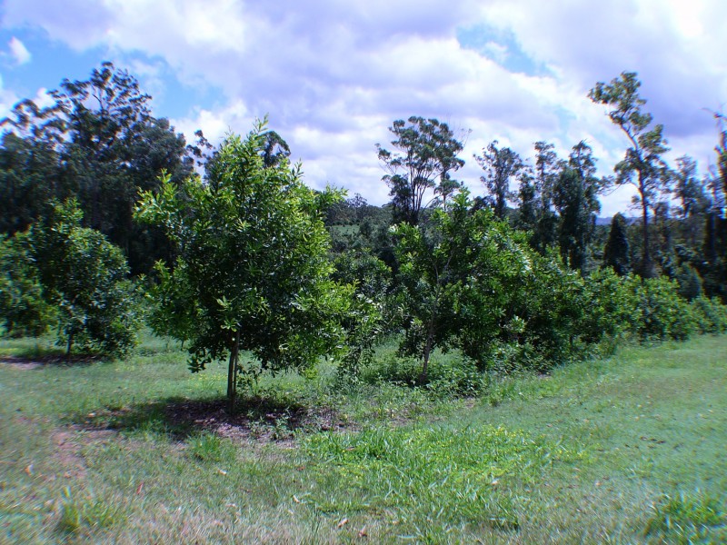 Peachester QLD 4519