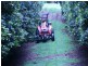 Peachester QLD 4519