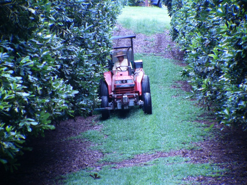Peachester QLD 4519