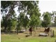 1424 Midge Point Rd, Midge Point QLD 4799
